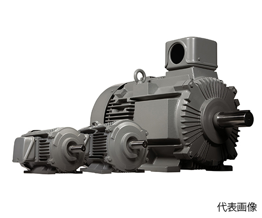 ザ・モートルNEO100Premium