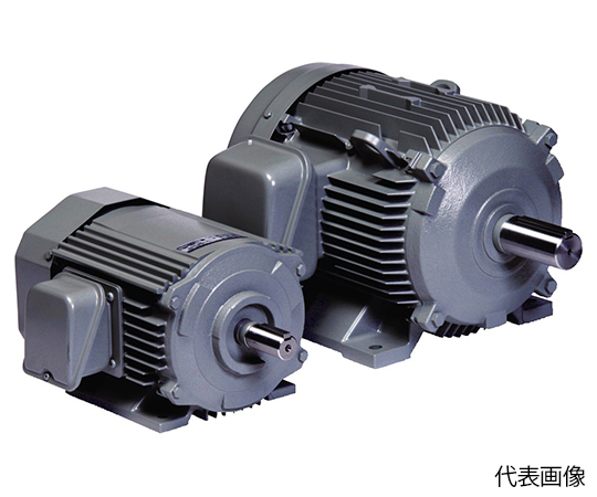 ザ・モートルNEO100Premium