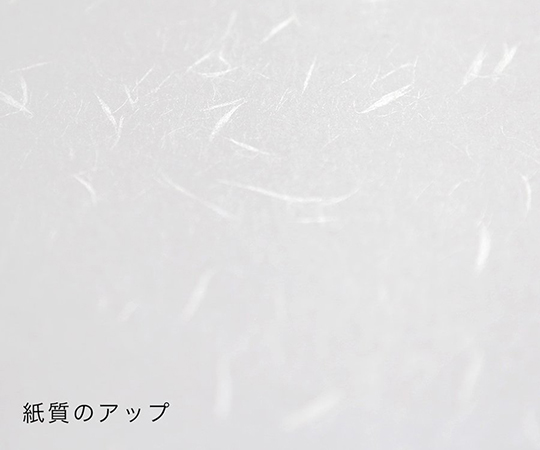 厚口 大直礼状紙 A4 500枚入 206020002