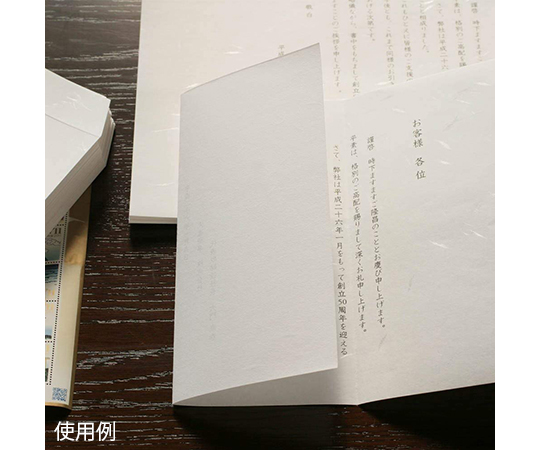 厚口 大直礼状紙 A4 500枚入 206020002