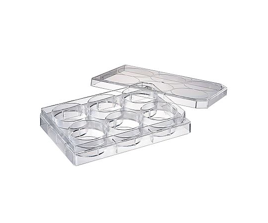 培養プレート6ウェル　接着細胞用　滅菌