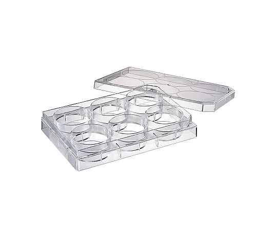 培養プレート6ウェル　浮遊細胞用　滅菌