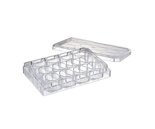 培養プレート12ウェル　浮遊細胞用　滅菌