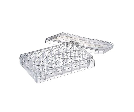 培養プレート24ウェル　接着細胞用　滅菌