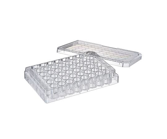 培養プレート48ウェル　浮遊細胞用　滅菌