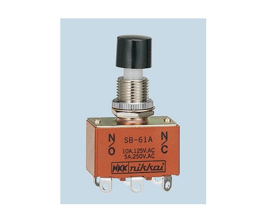 プッシュボタンスイッチ　双極双投（DPDT）　10　A　@　125　V　ac　モーメンタリ
