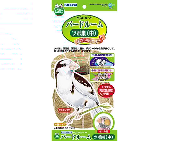 バードルーム　ツボ巣（中）