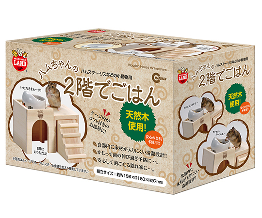 ハムちゃんの2階でごはん