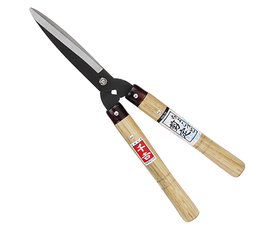 ちょこっと剪定