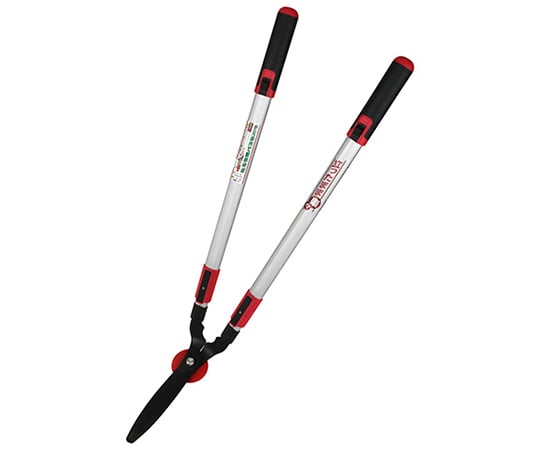 立ち楽　雑草カット