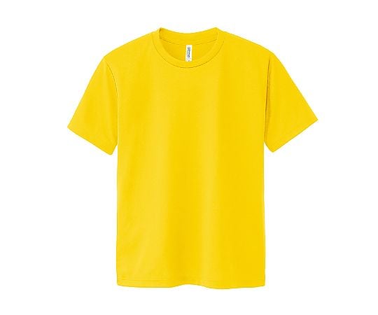 DXドライTシャツ　L　デイジー　165