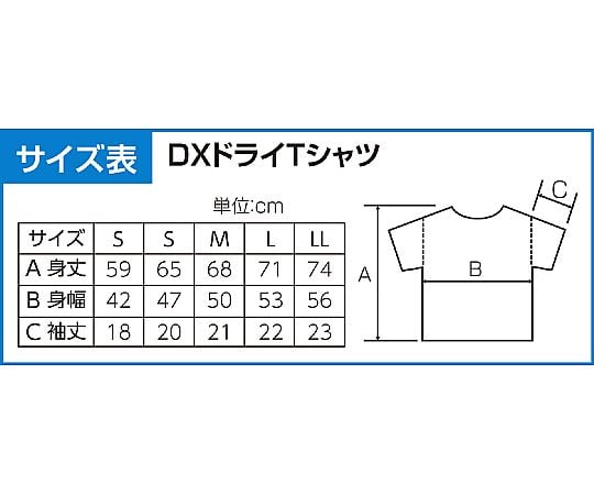 別注》SETENS/セテンス オーバーサイズ Tシャツ 通販 - ディノス