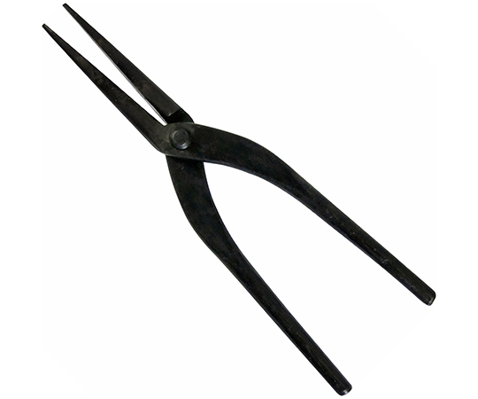 近与　菊しぼり