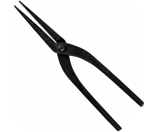 近与　菊しぼり