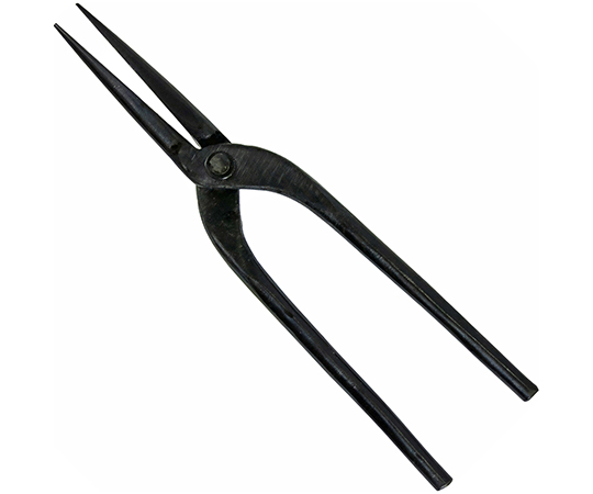 近与　菊しぼり　270mm