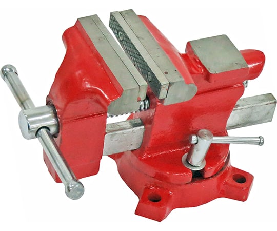 エコノミーバイス