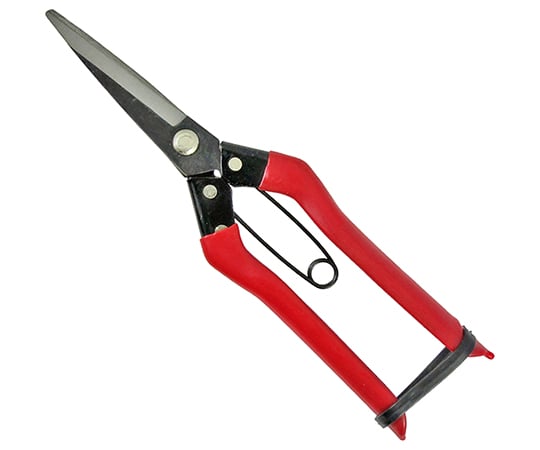 永吉　青果鋏　210mm