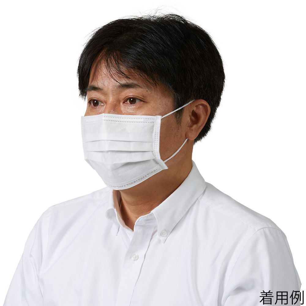 防ぎマスク 1ケース（10枚×12箱入）