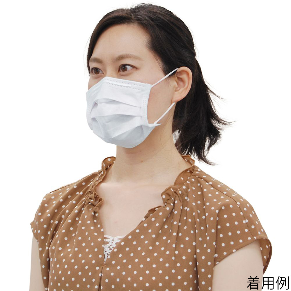 防ぎマスク 1ケース（10枚×12箱入）