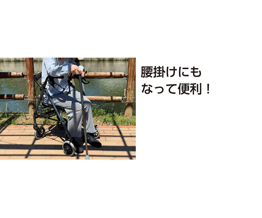 DIOチェスタ【1995～2014年】を売る！最新の買取相場と査定価格