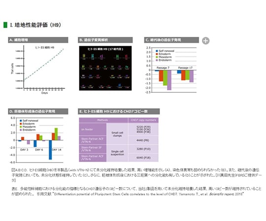 細胞培養用培地 Stem-Partner ACF 28143 63-5595-99 - 細胞工学