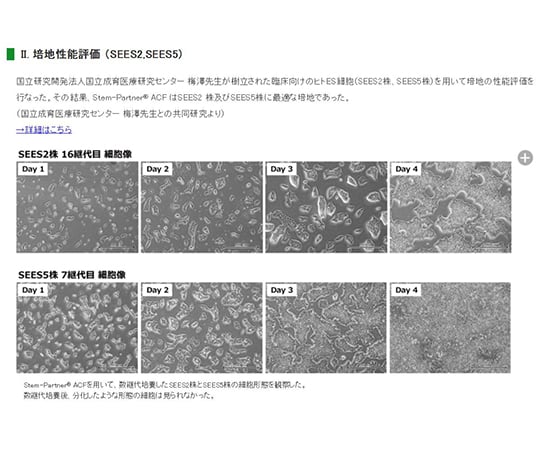 細胞培養用培地 Stem-Partner ACF 28143 63-5595-99 - 細胞工学