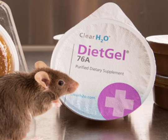 DietGel 76A 実験動物用栄養補給ジェル 1箱（96個入）