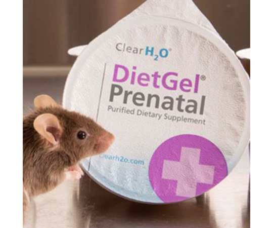 DietGel Prenatal 周産期動物用栄養補給ジェル 1箱（96個入）