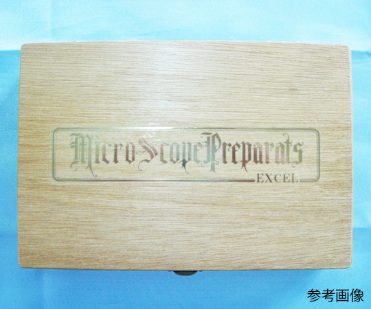 63-5767-94 木製プレパラート標本箱 100枚用 41101