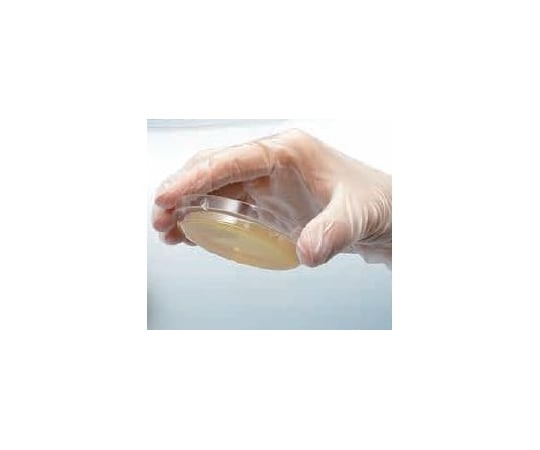 BD ロダック（TM） プレート CP添加ポテト寒天培地 1個（1本×30枚入）