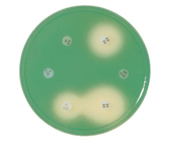 らむページ 63-6527-35 BD BBL（TM） ミューラーヒントンⅡ寒天培地 100枚