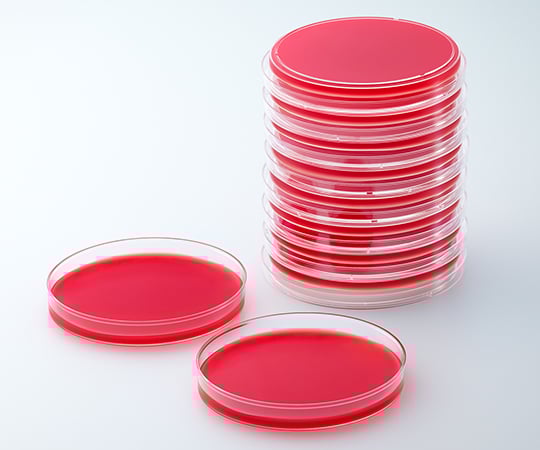 63-6527-57 BD BBL（TM） 変法キャンピロバクター 10％ヒツジ血液寒天