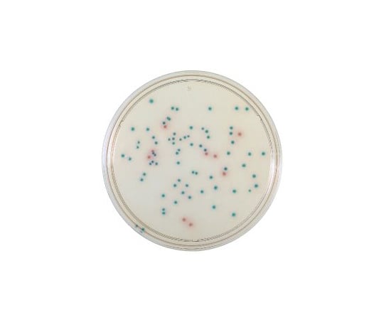 BD　BBL（TM）　CHROMagar（TM）　サルモネラ寒天培地　100枚