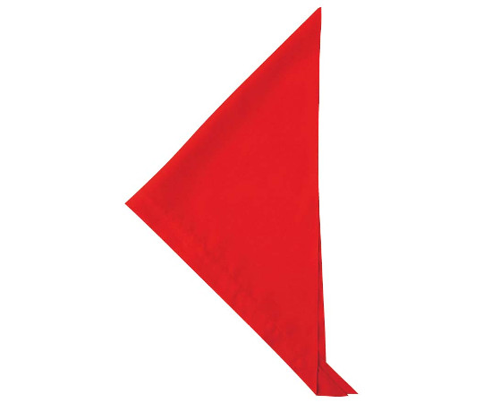 三角巾 JY4672-0 レッド フリー 4312120