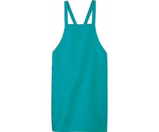 エプロン　ターコイズ　F