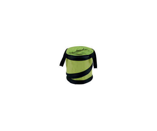 トラックスミニ　ライム