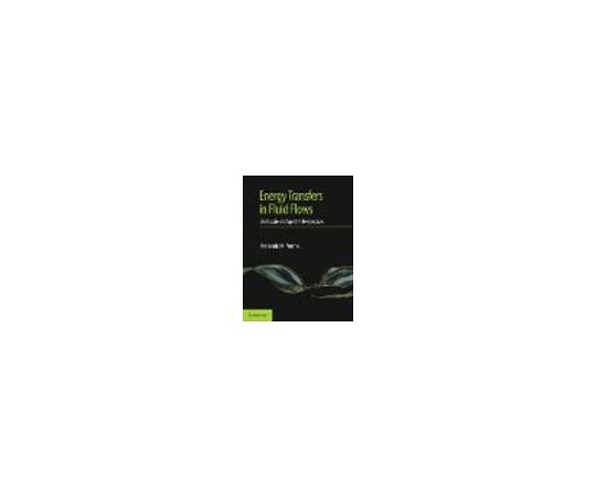 Energy Transfers in Fluid Flows