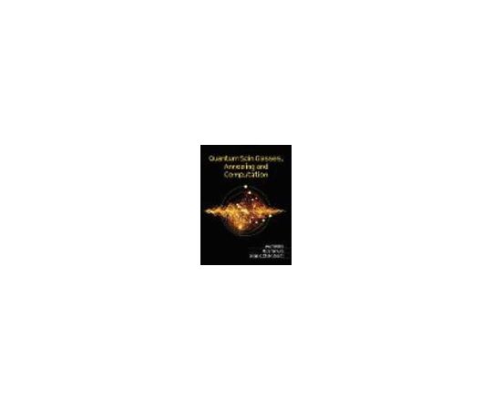 Quantum Spin Glasses, Annealing and Computation