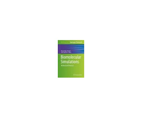 Biomolecular Simulations