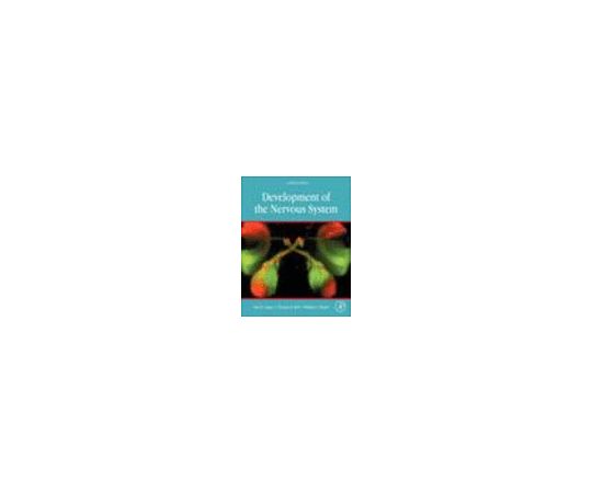 Development of the Nervous System