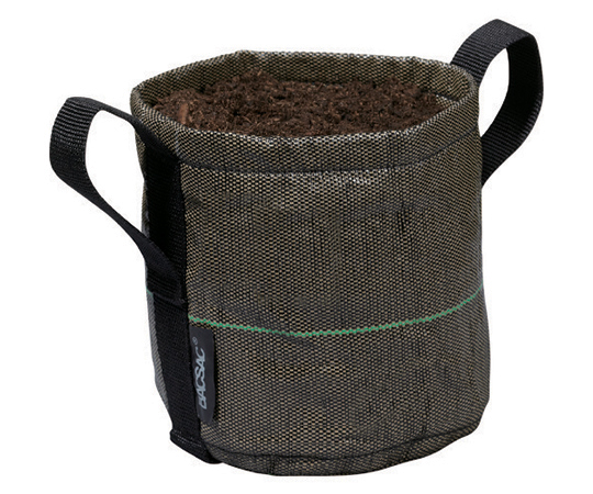 CLASSIC　BS　ポット3L