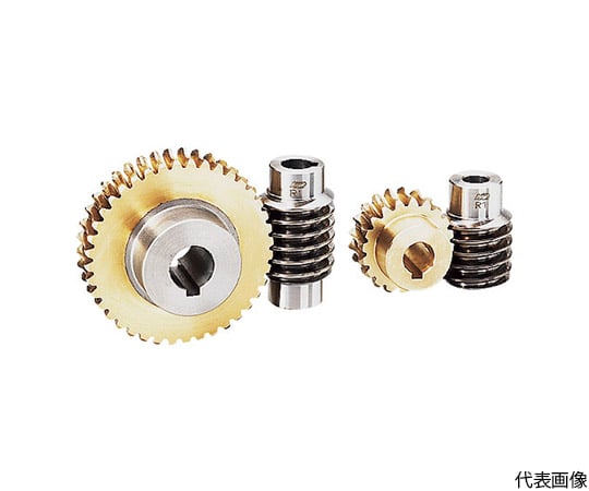 ウォーム W2S L1-B モジュール2.0 圧力角20度（並歯） S45C 精密転造仕上