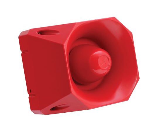 電子ブザー　Asserta　Maxi