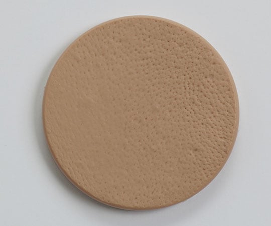 頬部肌模型　40代女性　ウレタン