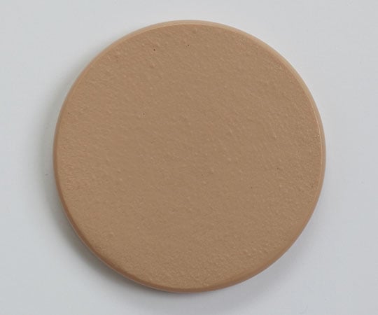 頬部肌模型　20代女性　ウレタン