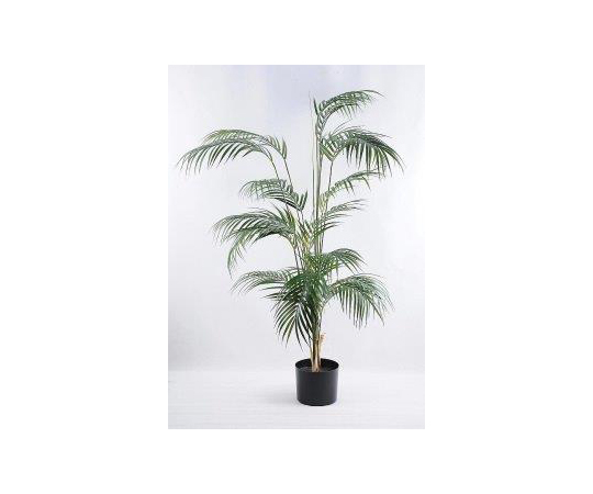 現在受注を停止している商品です お手入れ不要の人工観葉植物 フェイクグリーン 鉢付き パームツリー Bk 7041 64 08 32 Axel アズワン 現在受注を停止している商品です お手入れ不要の人工観葉植物 フェイクグリーン 鉢付き パームツリー Bk 7041 64 08 32 Axel アズワン