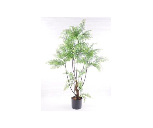 取扱を終了した商品です お手入れ不要の人工観葉植物 フェイクグリーン 鉢付き サイプレス Bk 7040 64 08 33 Axel アズワン 取扱を終了した商品です お手入れ不要の人工観葉植物 フェイクグリーン 鉢付き サイプレス Bk 7040 64 08 33 Axel アズワン