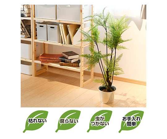 64 08 33 お手入れ不要の人工観葉植物 フェイクグリーン 鉢付き サイプレス Bk 7040 Axel アズワン 64 08 33 お手入れ不要の人工観葉植物 フェイクグリーン 鉢付き サイプレス Bk 7040 Axel アズワン