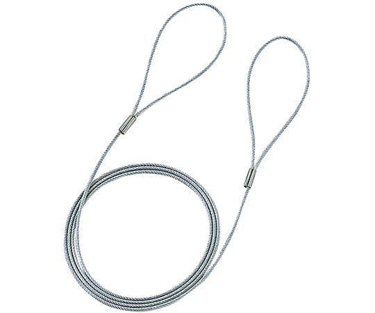 eセキュリティ　ワイヤー　1.0m　1.6mm