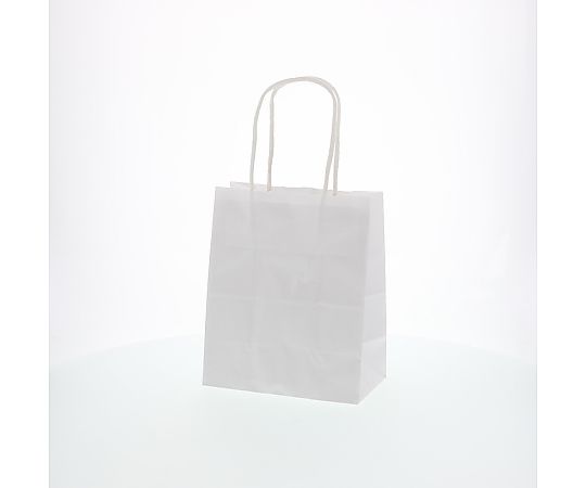 手提げ紙袋　25チャームバッグ　18-1　晒白無地　50枚